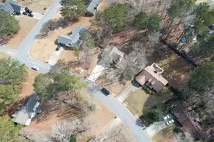 1067 Brookview Ln, Hampton, GA 30228 - Photo 31