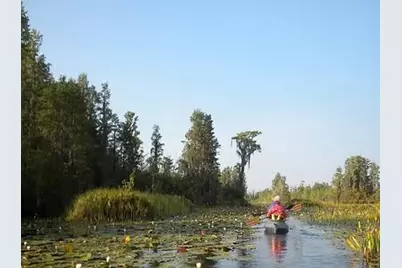 Lot55 Lighthouse Circle, Woodbine, GA 31569 - Photo 17