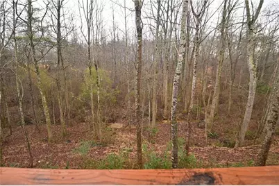 731 Dawn Place, Alto, GA 30510 - Photo 49