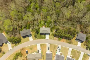 731 Dawn Pl, Alto, GA 30510 - Photo 43
