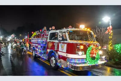 115 Dixie Lane, Ball Ground, GA 30107 - Photo 41