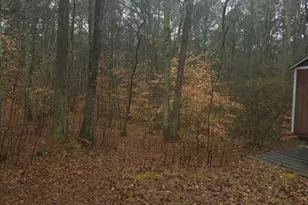 331 Bells Ferry Rd NE, White, GA 30184 - Photo 17