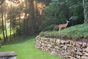 9570 Huntcliff Trce, Sandy Springs, GA 30350 - Photo 47