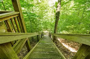 250 Meadow Ln, Talking Rock, GA 30175 - Photo 41