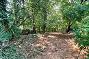 4075 Dream Catcher Dr, Woodstock, GA 30189 - Photo 49