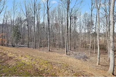 110 Rocky Branch Drive, Murrayville, GA 30564 - Photo 27