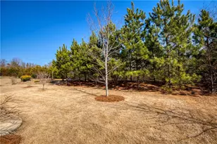 5550 Bergeson Wy, Cumming, GA 30028 - Photo 37