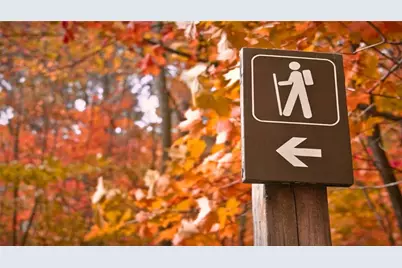 609 Spring Water, Waleska, GA 30183 - Photo 59