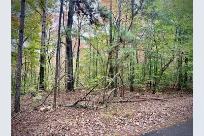 551 Harvey Fields Drive, Canton, GA 30114 - Photo 7