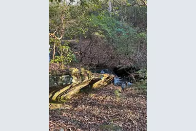 1632 Sperin Road, Ball Ground, GA 30107 - Photo 7