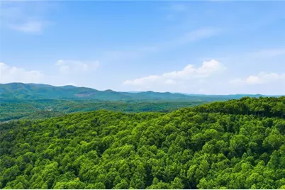 1564 Big Ben Road, Ellijay, GA 30540 - Photo 49