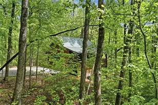 1564 Big Ben Rd, Ellijay, GA 30540 - Photo 45