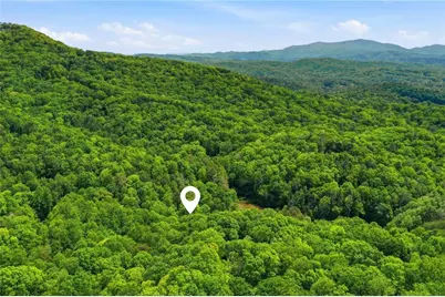 1564 Big Ben Road, Ellijay, GA 30540 - Photo 3