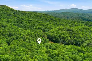1564 Big Ben Rd, Ellijay, GA 30540 - Photo 3