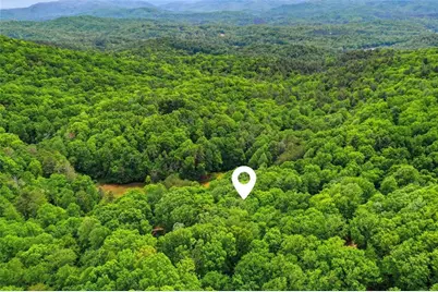 1564 Big Ben Road, Ellijay, GA 30540 - Photo 47
