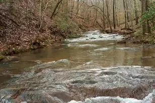 517 Misty Creek, Canton, GA 30114 - Photo 1