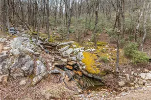 532 Vistaview Pkwy, Jasper, GA 30143 - Photo 59