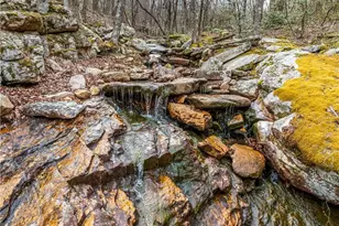 532 Vistaview Pkwy, Jasper, GA 30143 - Photo 61