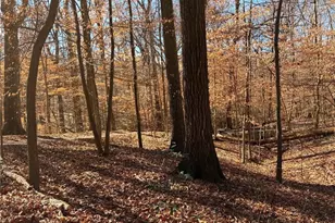 861 Artwood Rd NE, Atlanta, GA 30307 - Photo 29