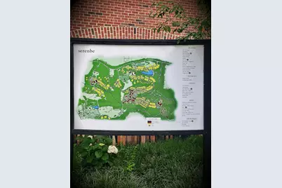 10671 Serenbe Lane, Chattahoochee Hills, GA 30268 - Photo 37