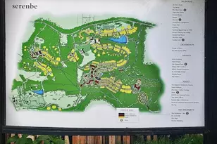 10671 Serenbe Ln, Chattahoochee Hills, GA 30268 - Photo 37