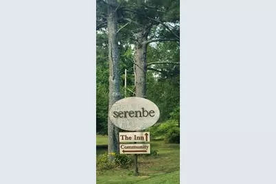 10671 Serenbe Lane, Chattahoochee Hills, GA 30268 - Photo 39