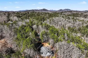 387 Ruby Ln, Mineral Bluff, GA 30559 - Photo 29