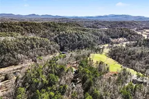 387 Ruby Ln, Mineral Bluff, GA 30559 - Photo 27