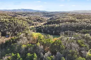 387 Ruby Ln, Mineral Bluff, GA 30559 - Photo 25