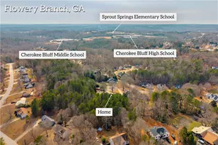 5169 Artesian Spring Dr, Flowery Branch, GA 30542 - Photo 41