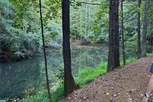 5169 Artesian Spring Dr, Flowery Branch, GA 30542 - Photo 49