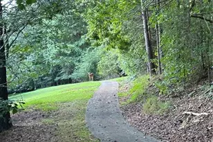 5169 Artesian Spring Dr, Flowery Branch, GA 30542 - Photo 47