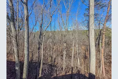 165 Horseshoe Bend, Jasper, GA 30143 - Photo 35