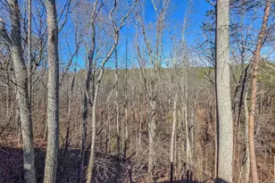 165 Horseshoe Bend, Jasper, GA 30143 - Photo 35