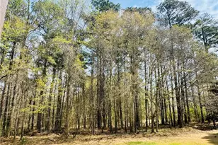 139 Lost Forest Dr, McDonough, GA 30252 - Photo 7