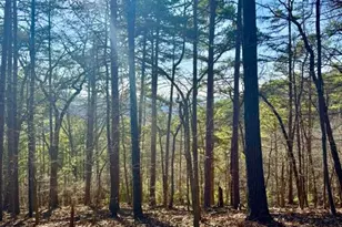 334 Packet Ct, Ranger, GA 30734 - Photo 1