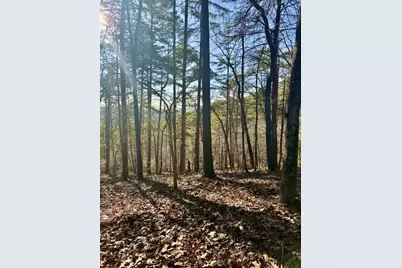 334 Packet Court, Ranger, GA 30734 - Photo 1