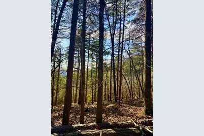 334 Packet Court, Ranger, GA 30734 - Photo 9