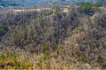Lt 285 Anglers Ridge Road, Talking Rock, GA 30175 - Photo 9