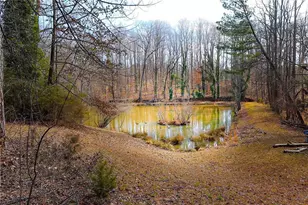 4500 Old Stilesboro Rd, Acworth, GA 30101 - Photo 7