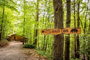 137 Little Beaver Drive, Cherrylog, GA 30522 - Photo 1