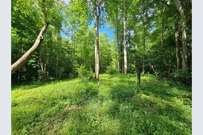 0 Hutcheson Road, Temple, GA 30179 - Photo 3