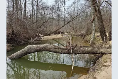 0 Hutcheson Road, Temple, GA 30179 - Photo 15