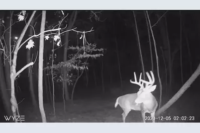 0 Hutcheson Road, Temple, GA 30179 - Photo 35