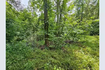 0 Hutcheson Road, Temple, GA 30179 - Photo 9