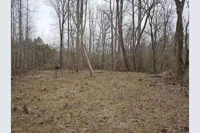 0 Hutcheson Road, Temple, GA 30179 - Photo 33