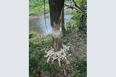 0 Hutcheson Road, Temple, GA 30179 - Photo 5