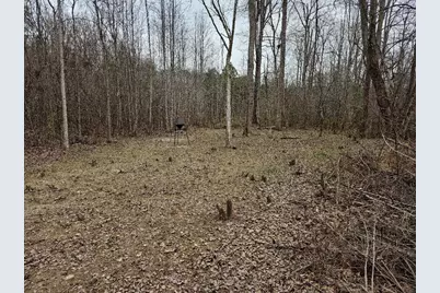 0 Hutcheson Road, Temple, GA 30179 - Photo 31