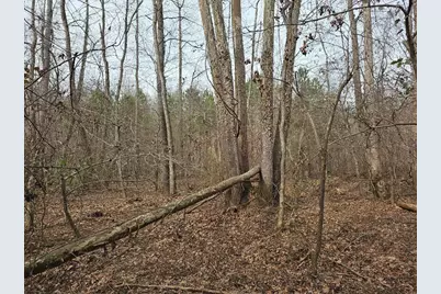 0 Hutcheson Road, Temple, GA 30179 - Photo 27