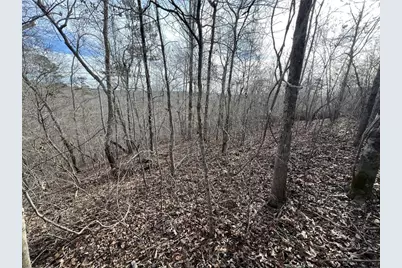 0 Hutcheson Road, Temple, GA 30179 - Photo 25